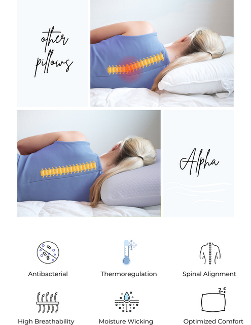 Alpha™ Pillow 2: Aqua Cooling Membrane x 2 – Ivana Designs